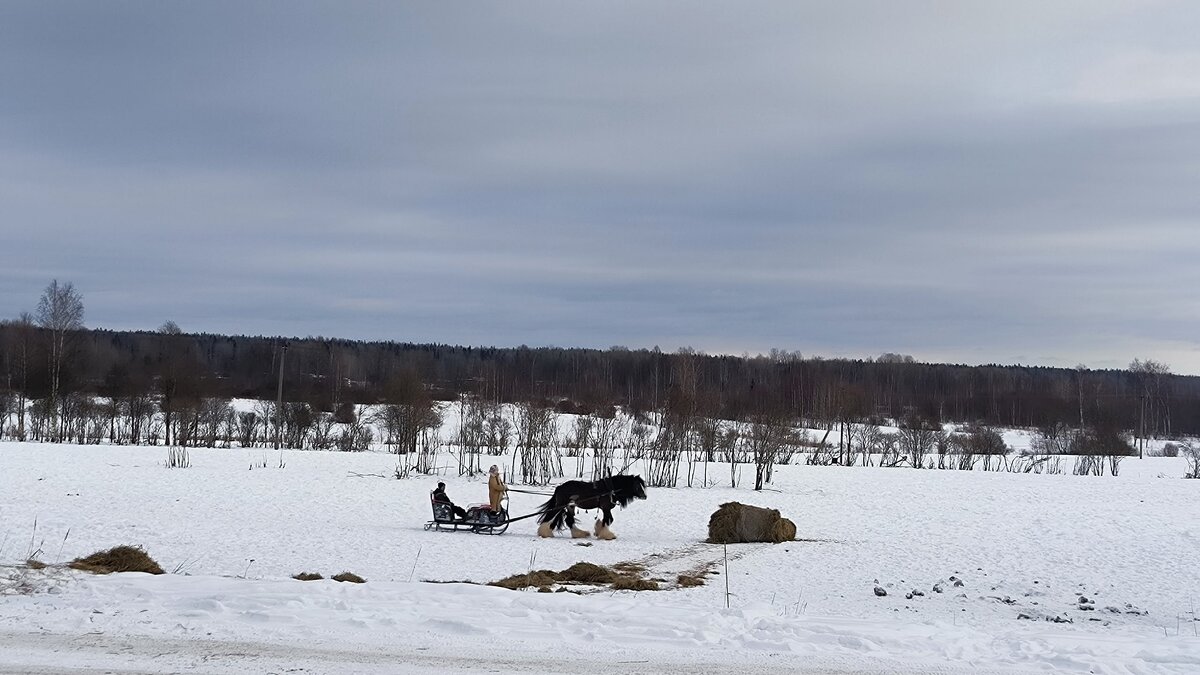 В санях по полям с ветерком! - Ольга 