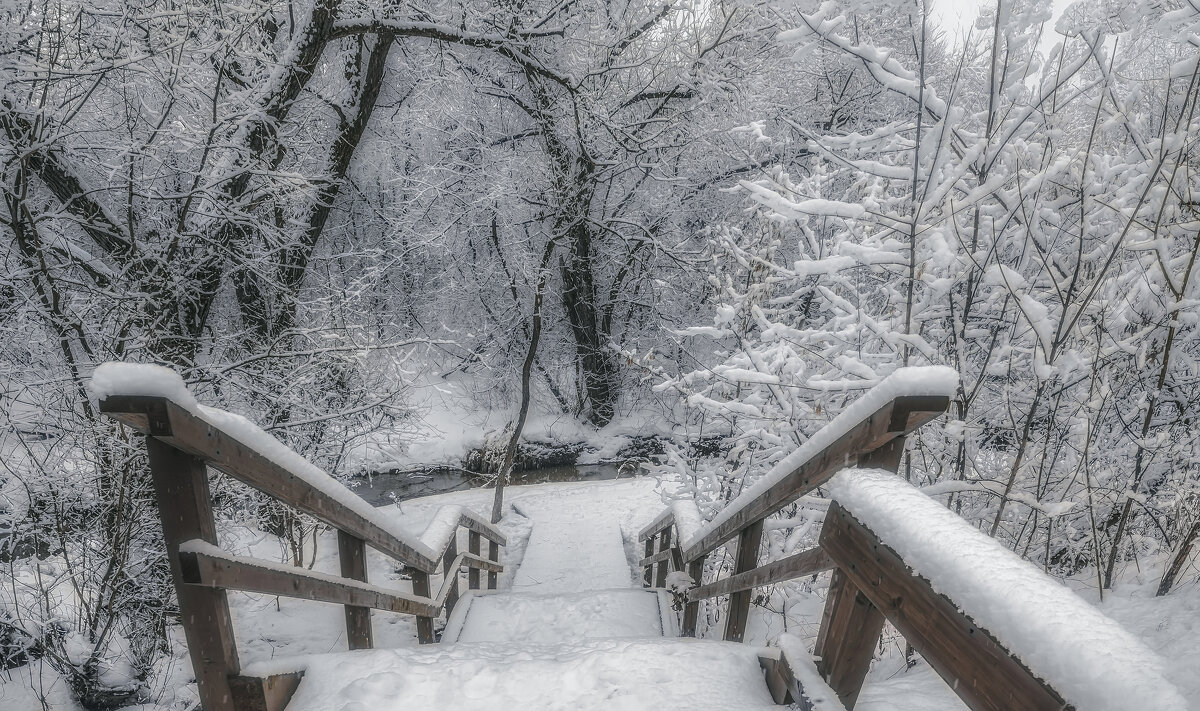 Спуск к речке. - Владимир Владимир