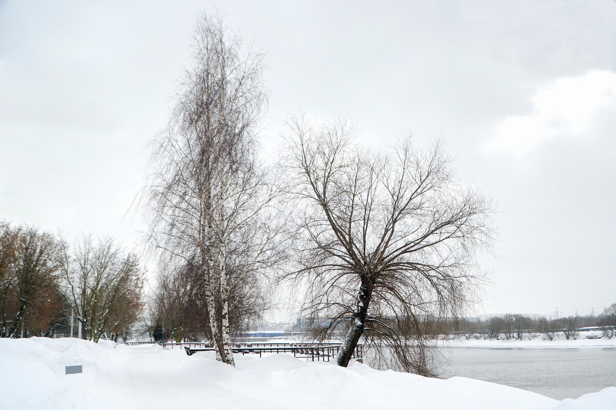 Московский февраль - Юрий Шувалов Московский февраль - Юрий Шувалов