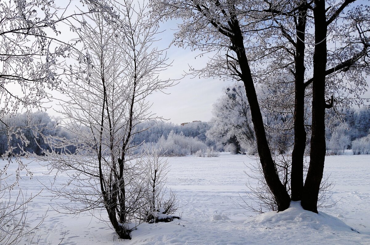 Зимний пейзаж - Рита Симонова