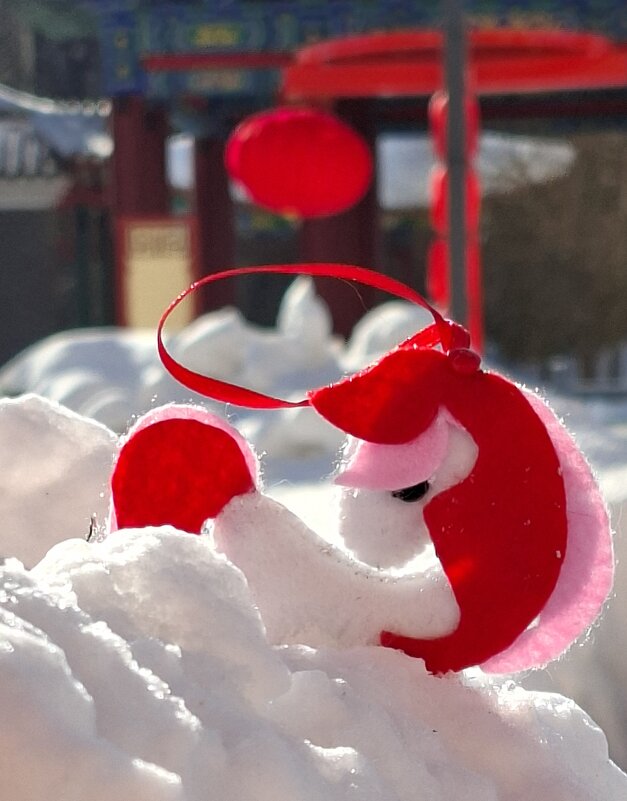 Рождение красного коня - ИРЭН@ .