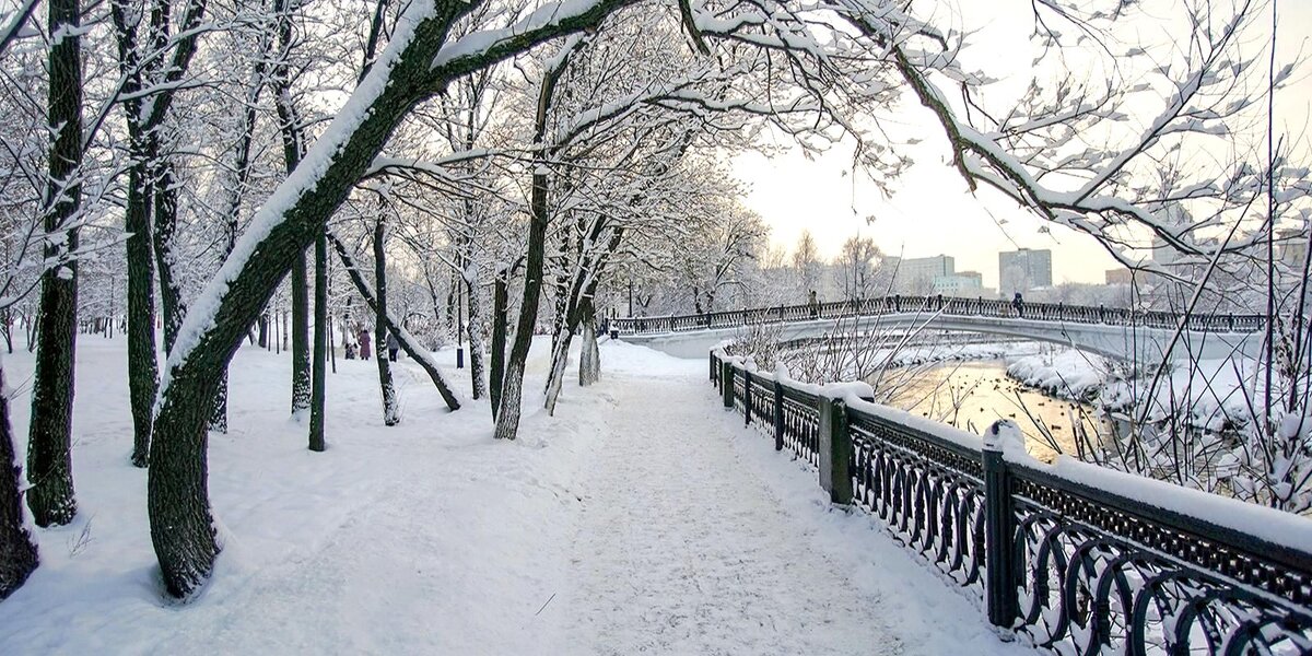 Москва в феврале - Елена 