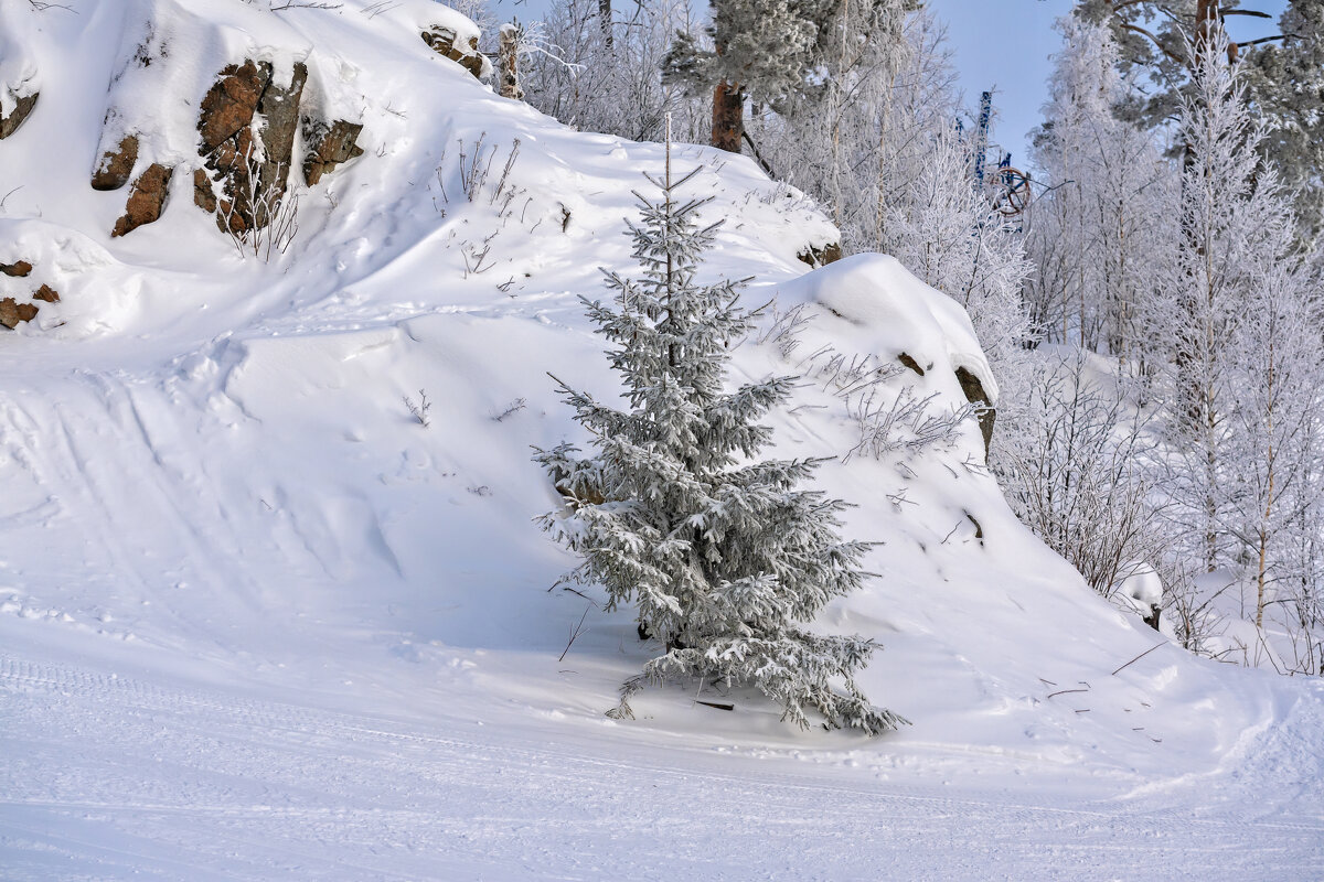 ****** - Вячеслав Овчинников