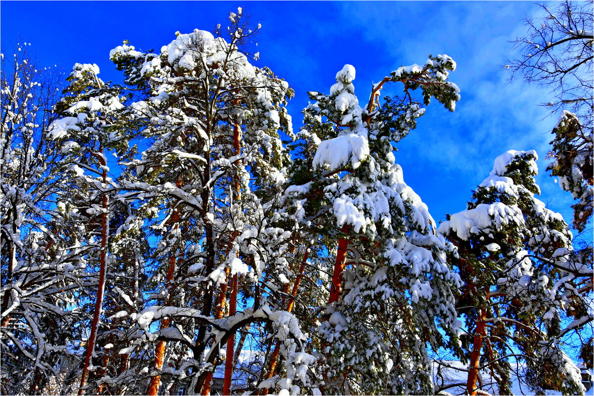 ЗИМА - Юрий Владимирович 34