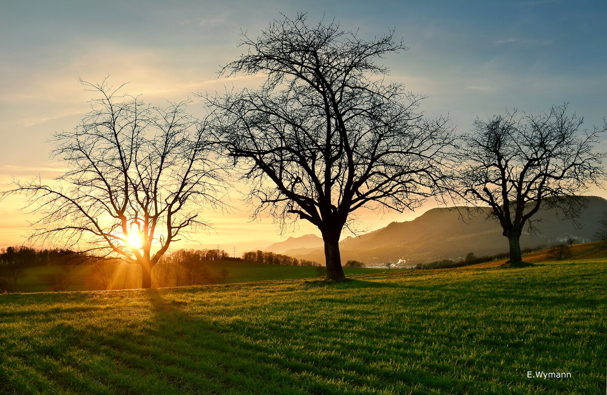 sunset - Elena Wymann