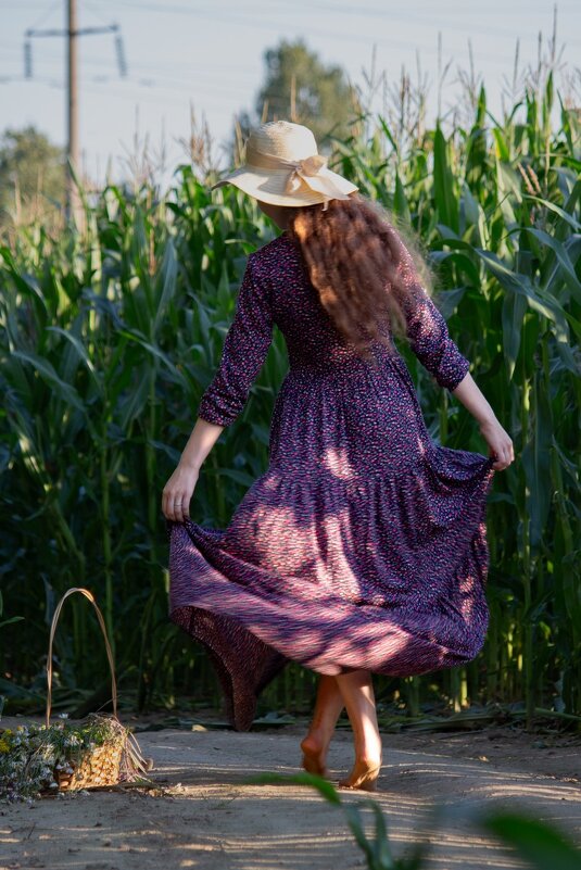 * - Евгений Ваулин