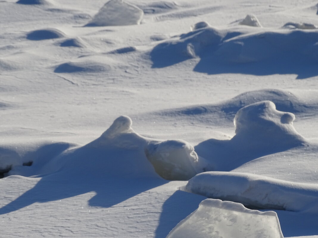 Снежные пупырышки - Anna-Sabina Anna-Sabina Снежные пупырышки - Anna-Sabina Anna-Sabina