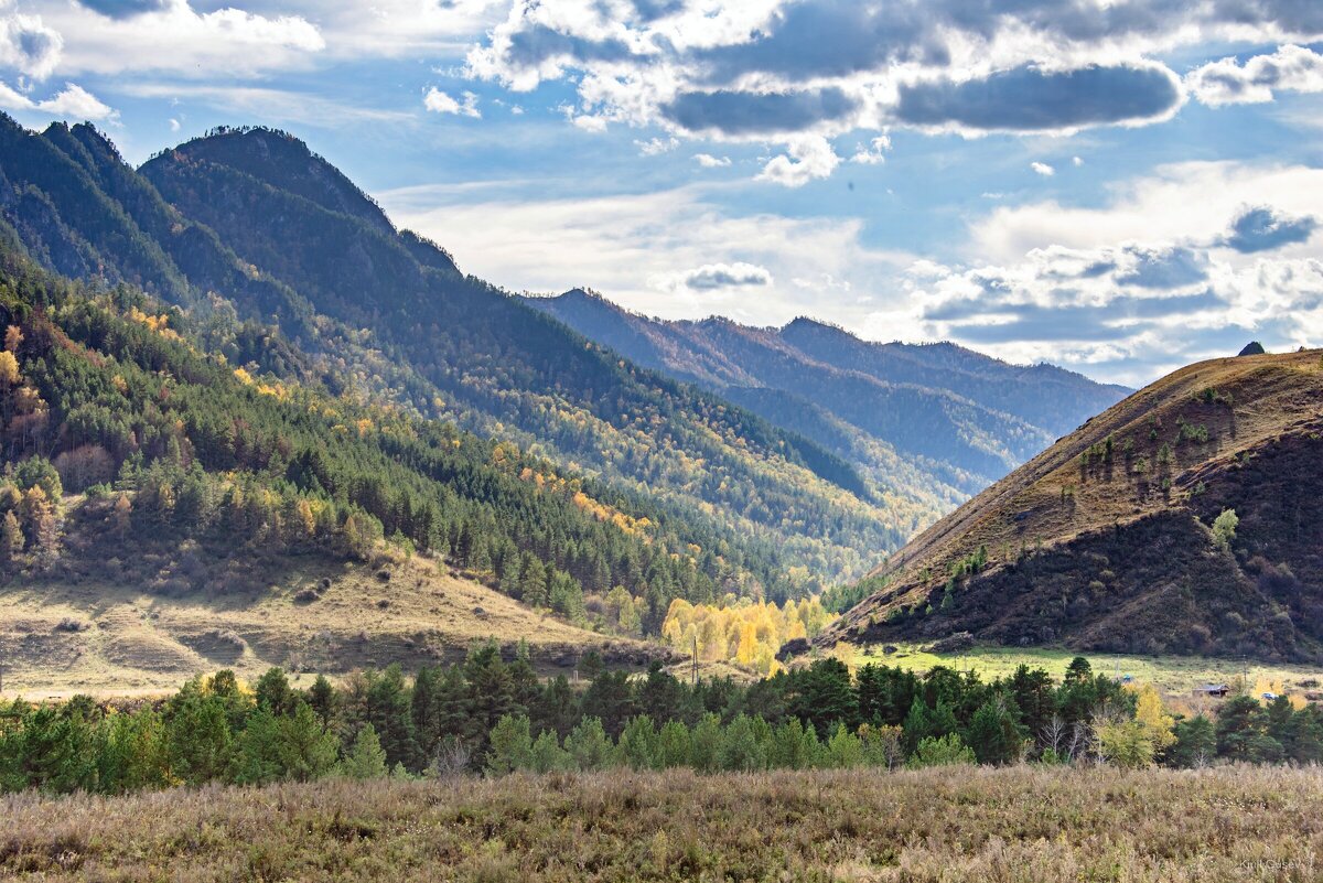 Просто посмотри ... - Kirill 