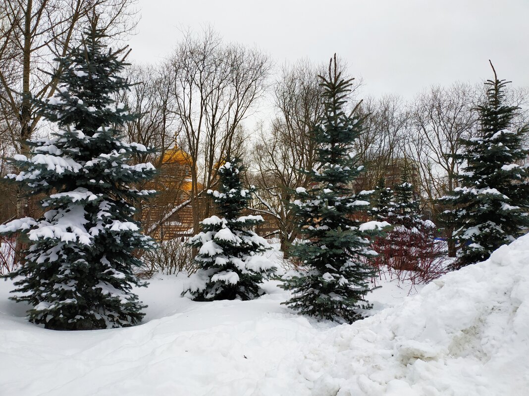 Так уходила зима. Неохотно - Андрей Лукьянов