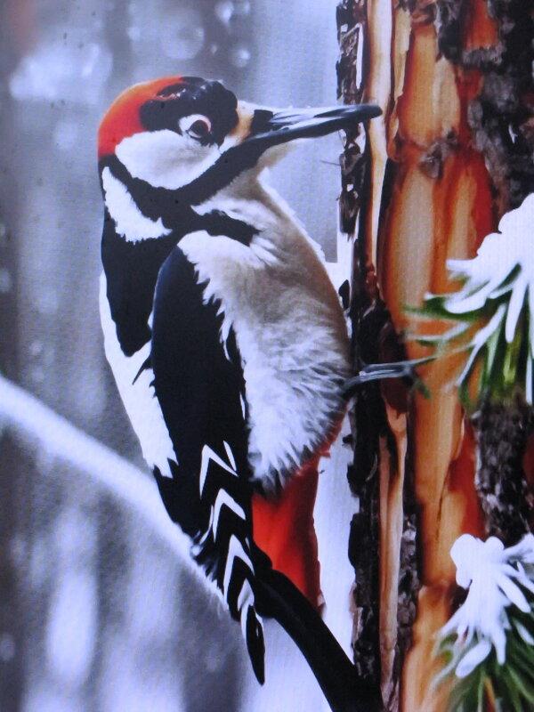 Трудяга - Людмила Смородинская