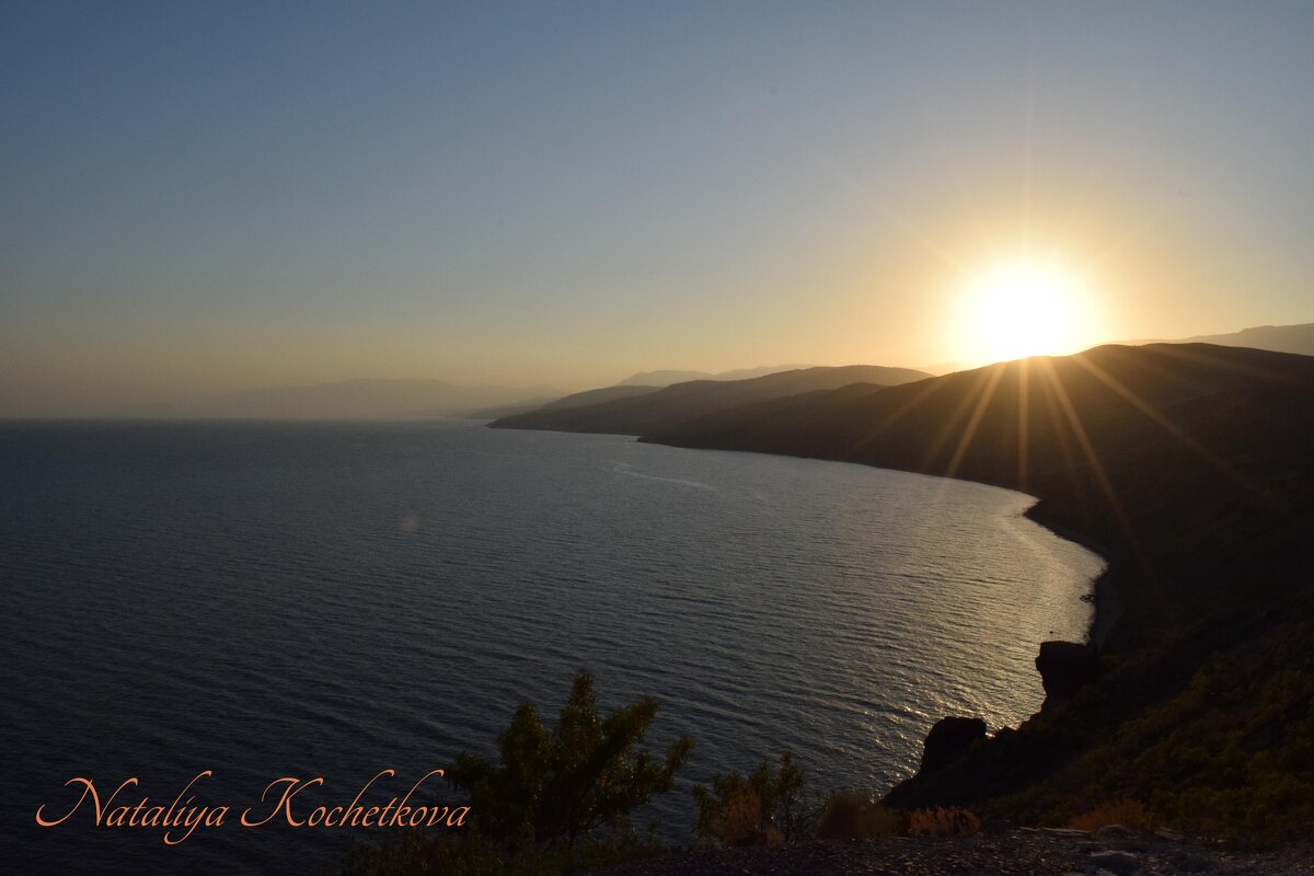 Природа Крыма - Amazing Cosmea