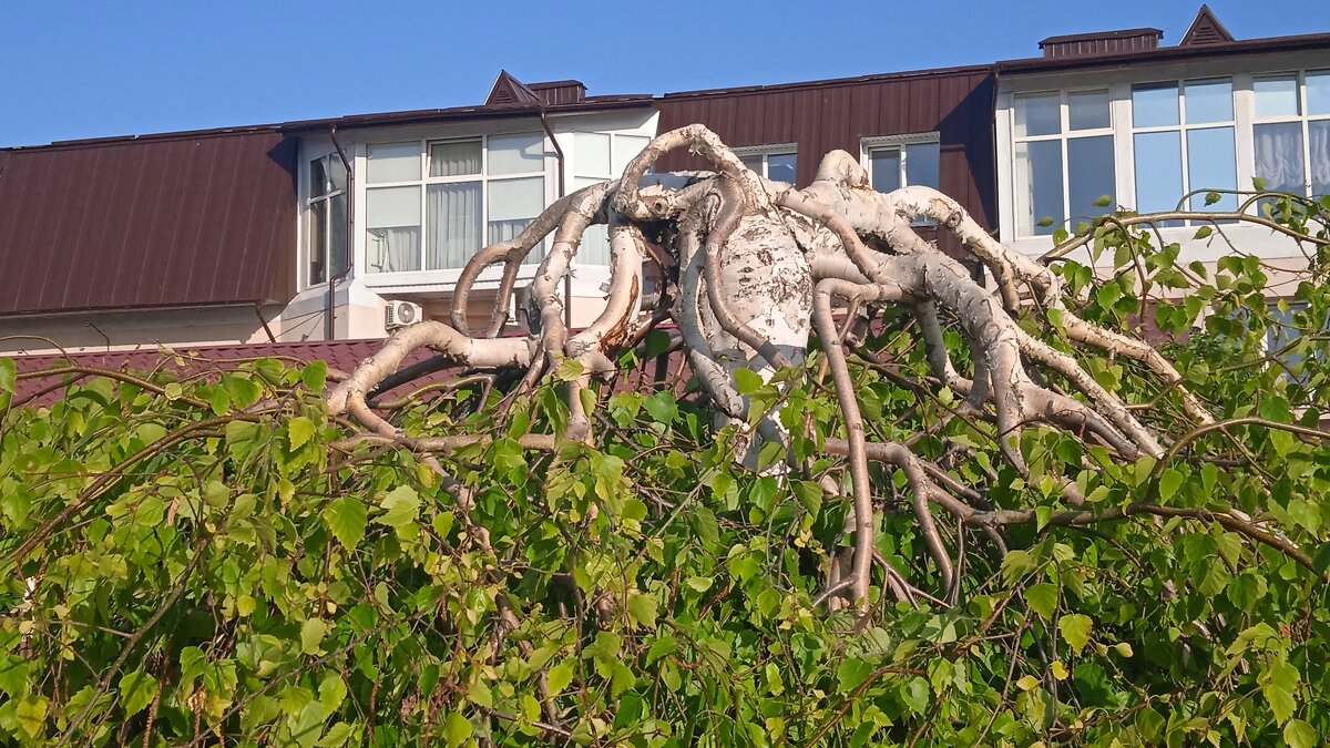 ......... - Елена Шаламова