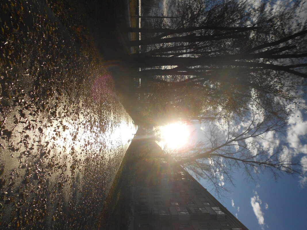 Ноябрьский вечер - Елена Шаламова