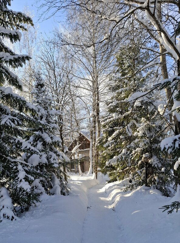 Зимняя сказка.... - Сергей Клапишевский