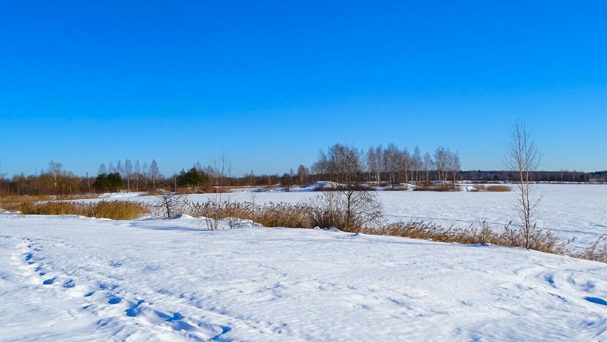 Зима в конце февраля. - Милешкин Владимир Алексеевич 