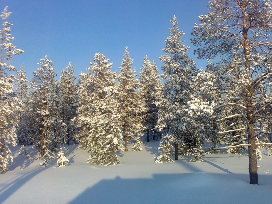 Зимние зарисовки ... - Ravile 