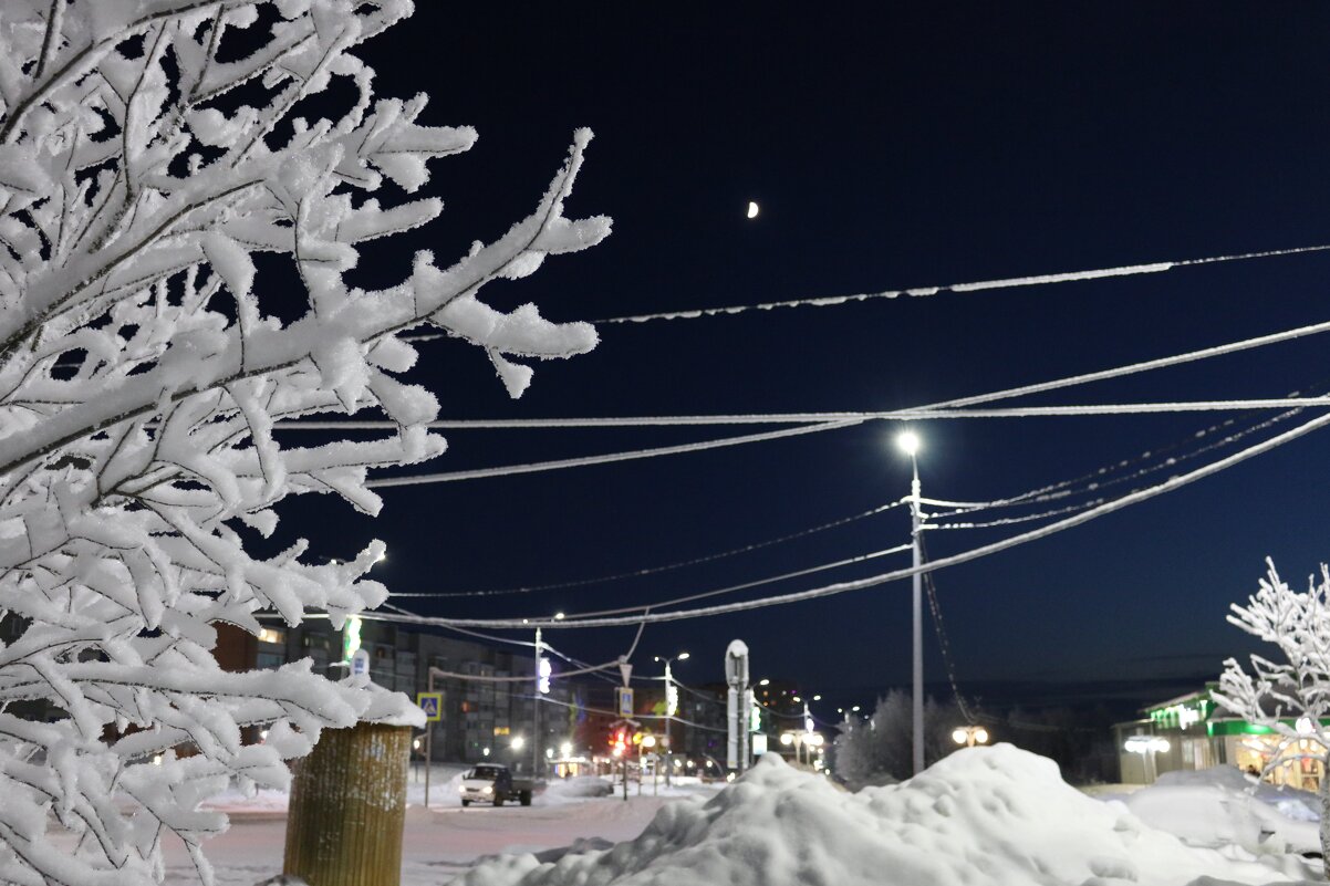 Паутина проводов - Ольга 