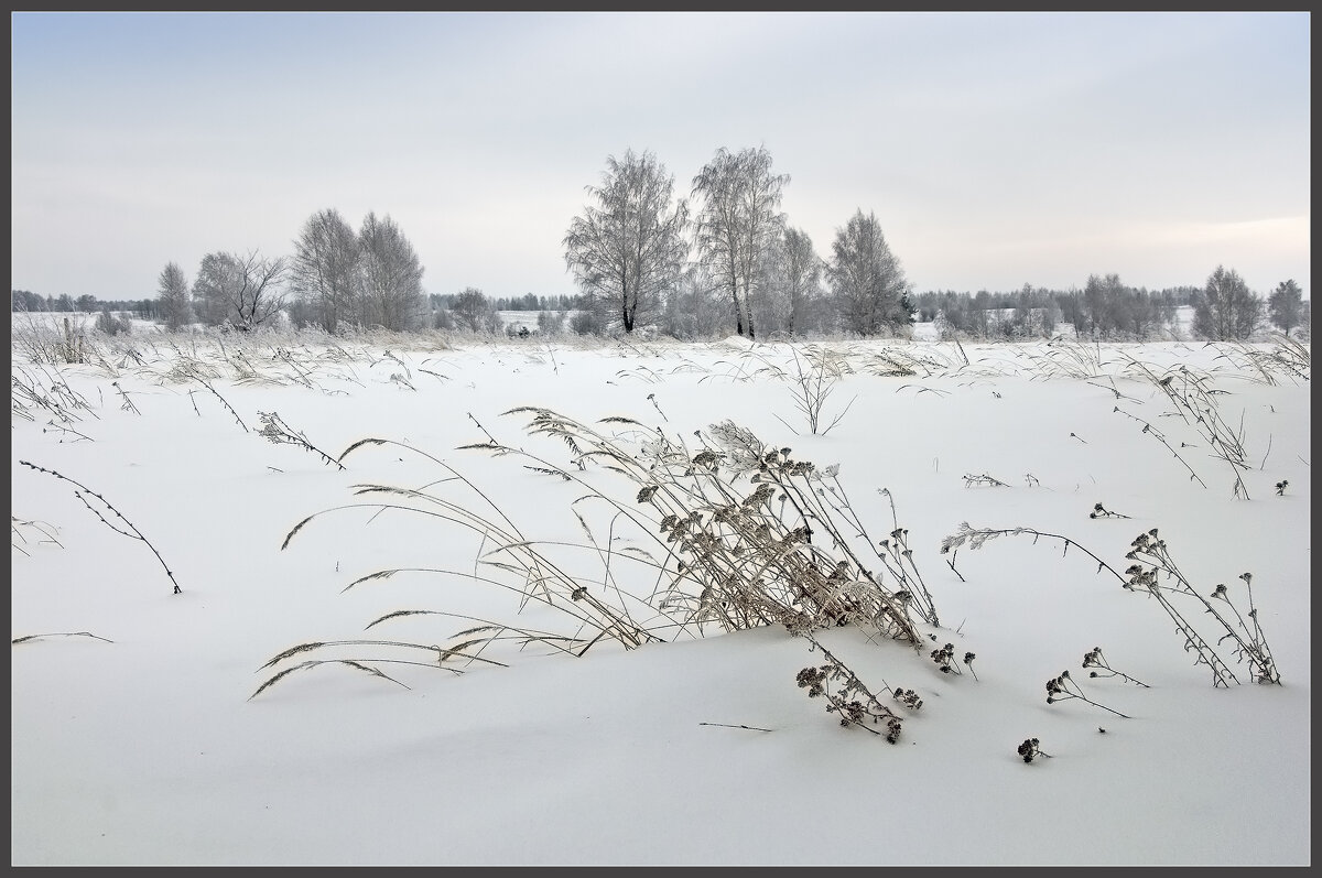 Зима - **** vedin