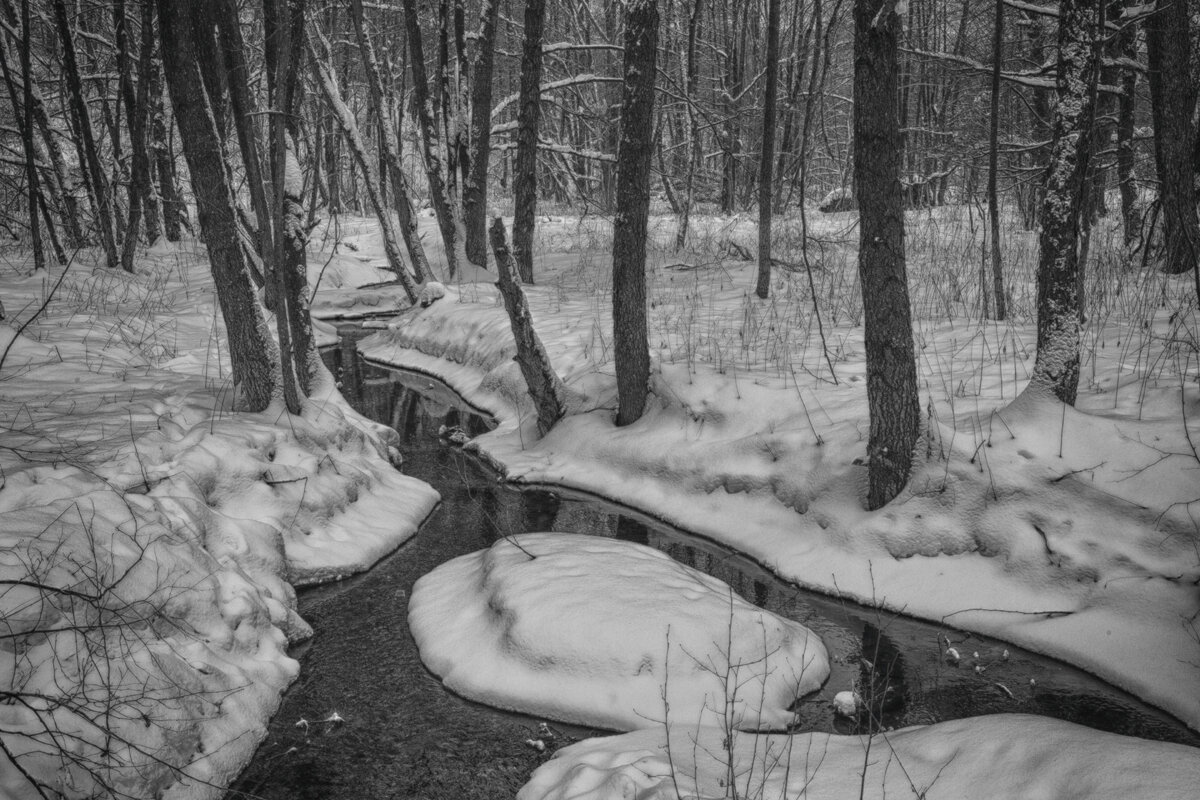 Ручей. - Владимир Гришин