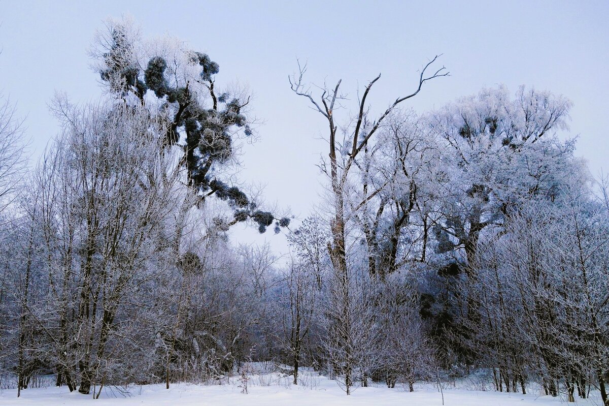 Морозное дыхание зимы - Рита Симонова