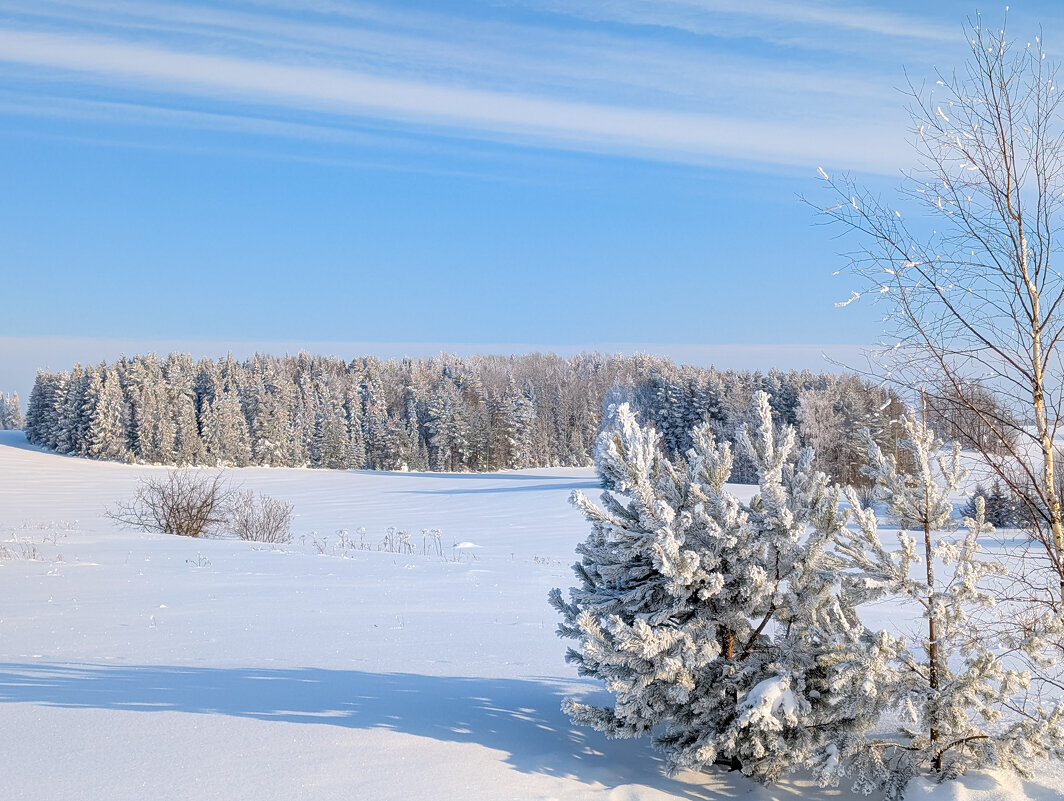 Зимняя сказка - Анастасия Логинова