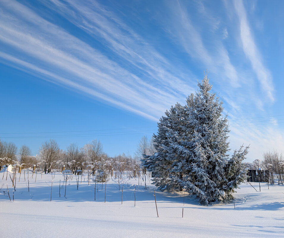 Сказка - Анастасия Логинова