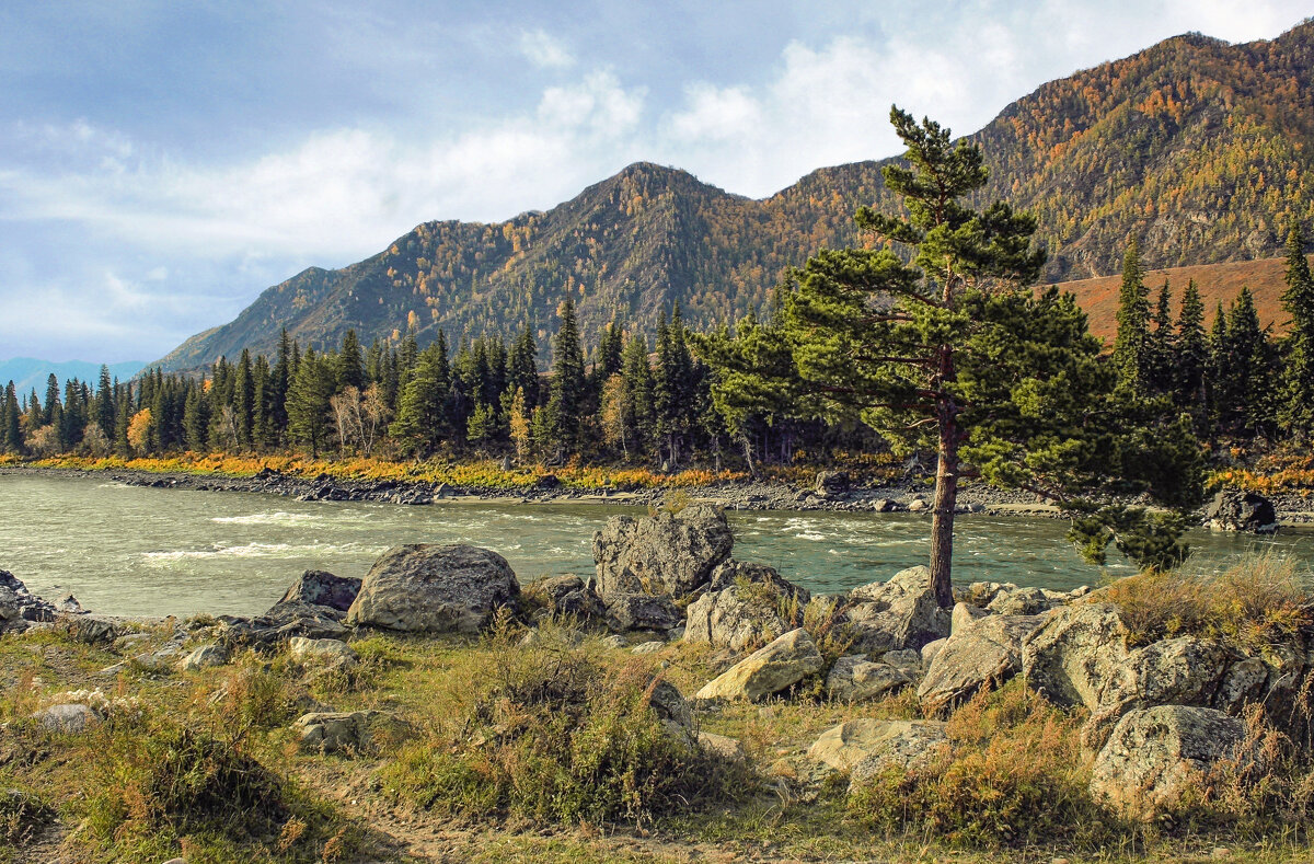 За Куюсом-2 - елена беликова