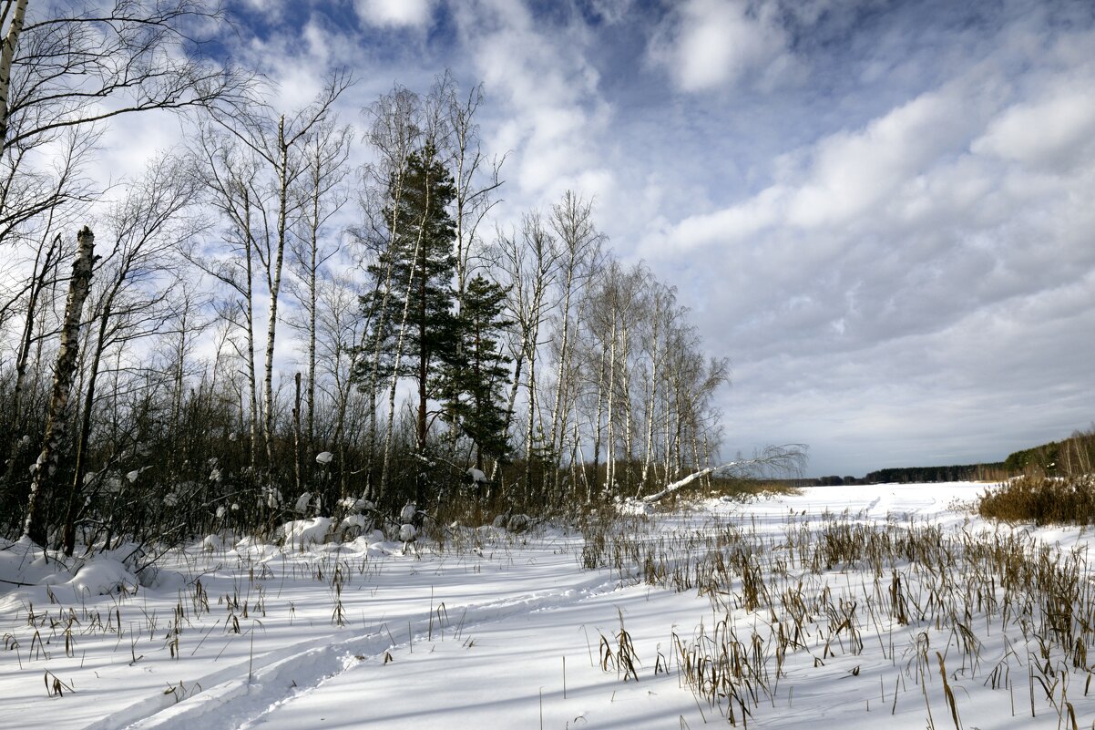 На прогулке - Oleg S