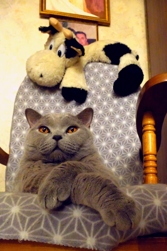 Британец Масик - Лютый Дровосек