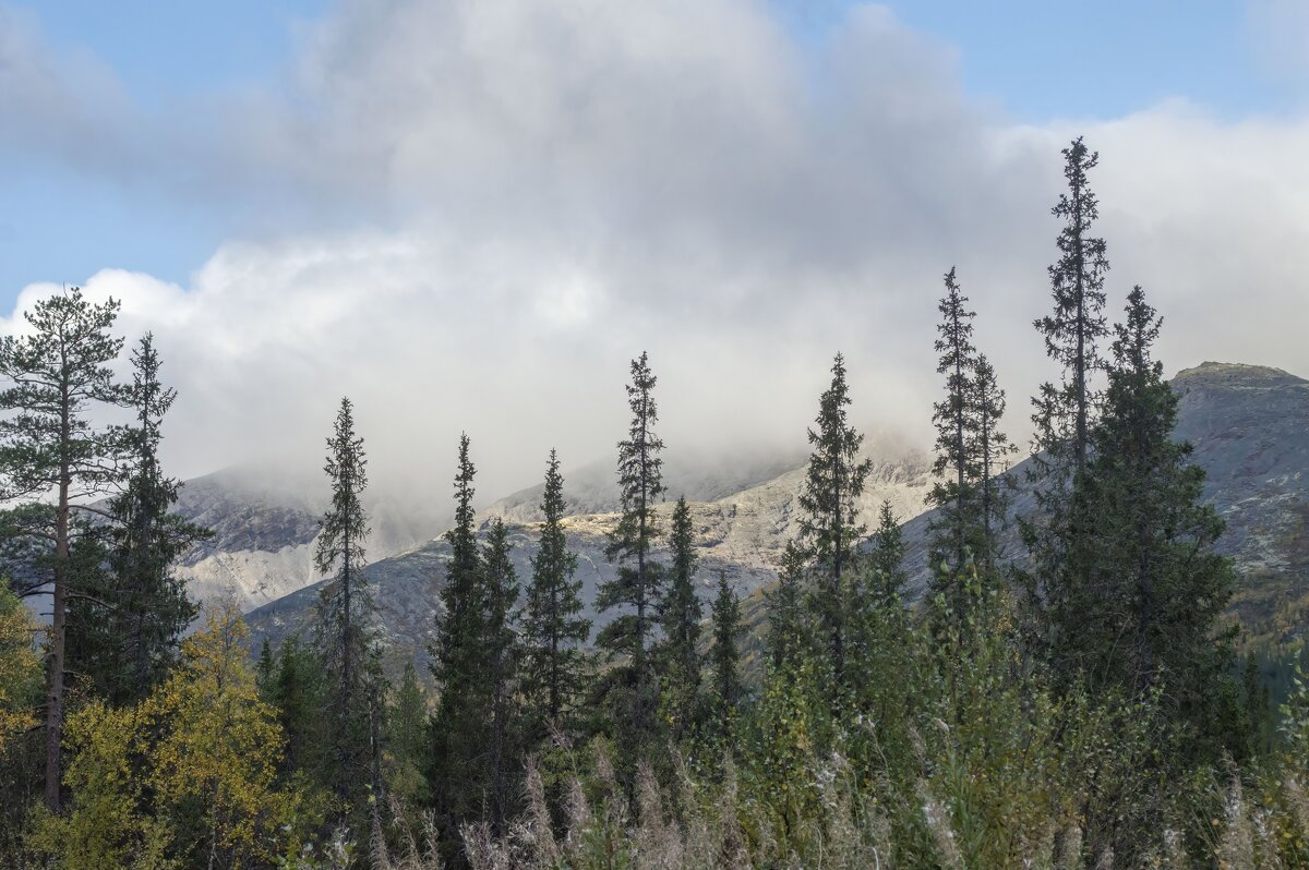 Первый снежок........... - Юрий Цыплятников