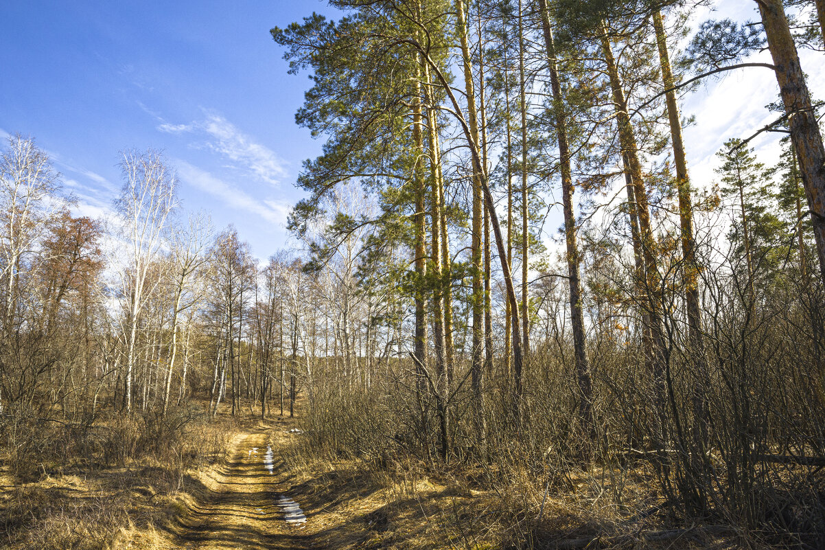 ... - Валерий 