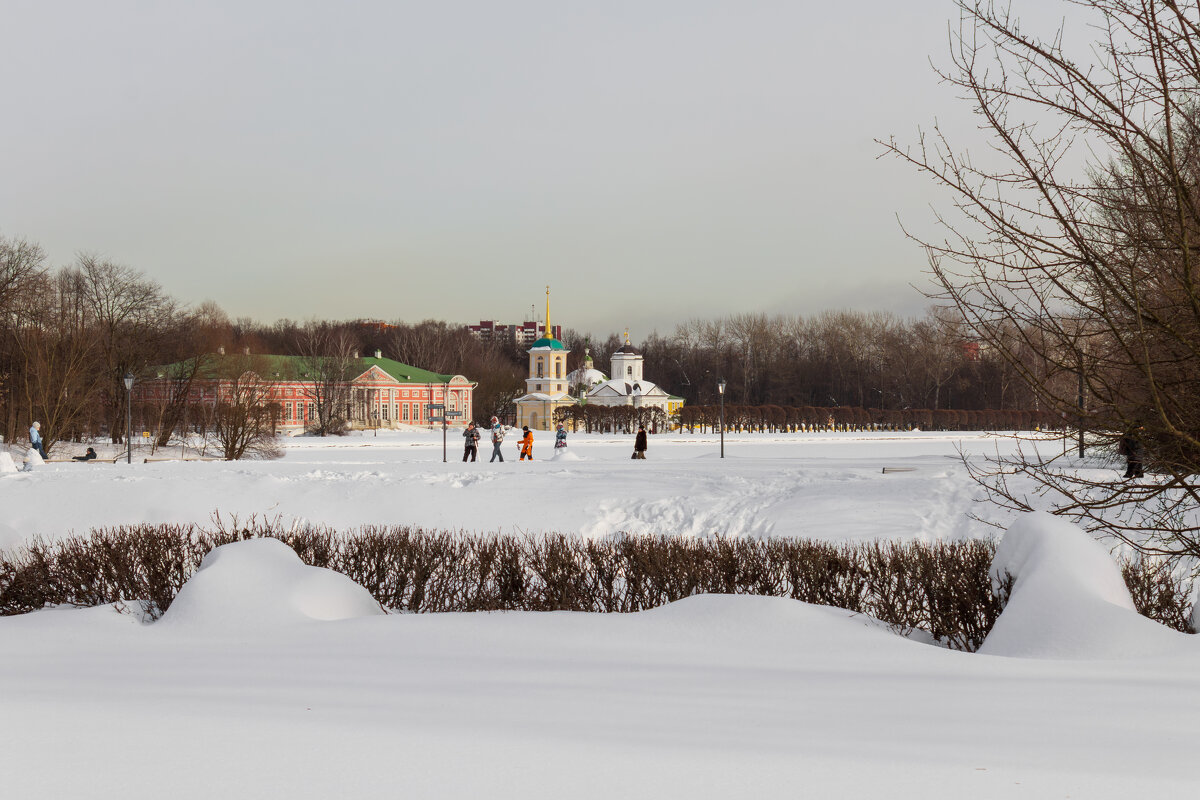 Парк "Кусково". Февраль. - Борис Калитенко