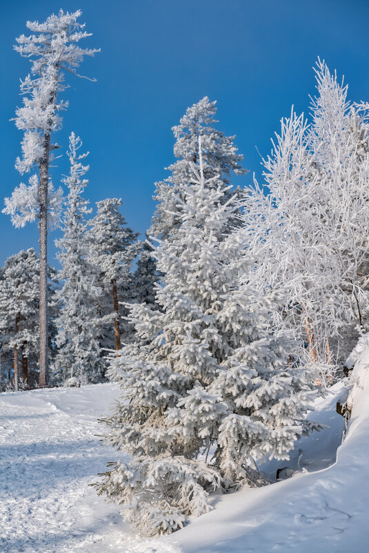 ****** - Вячеслав Овчинников
