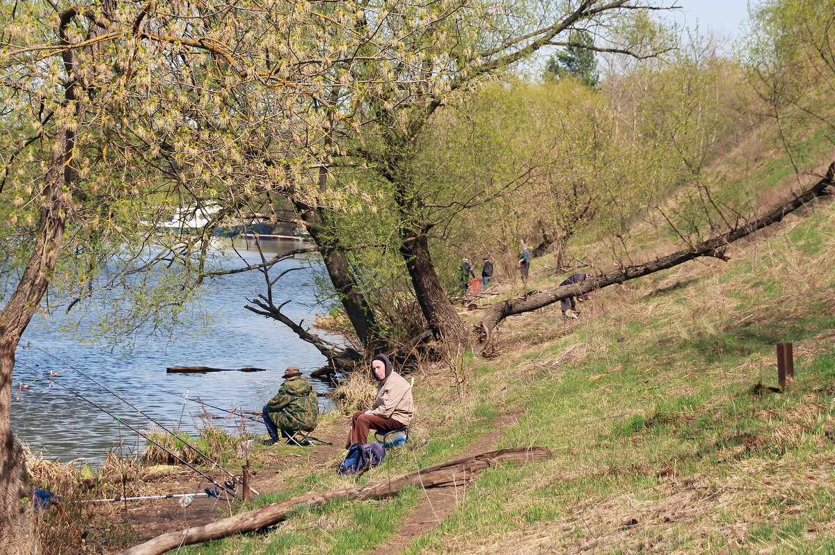 Рыбаки на Москве-реке - Валерий Судачок Рыбаки на Москве-реке - Валерий Судачок