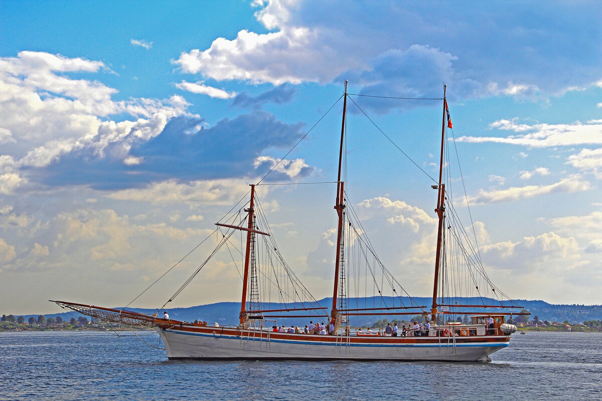 Белобока и красива , словно лебедь белая... - В.И 