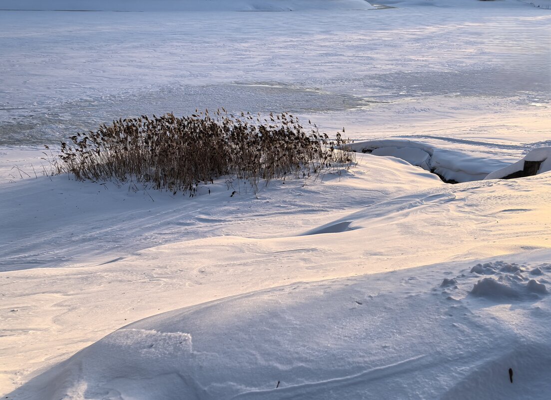 *** - Olga Oskolkova