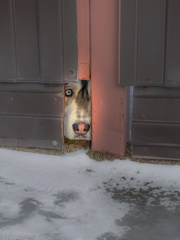 - - Александр 