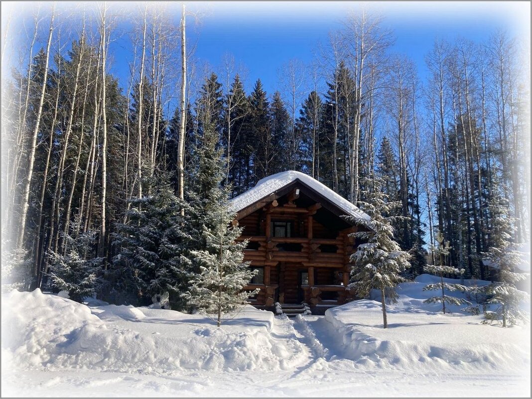 Банька в лесу ... - Валентина Надсон