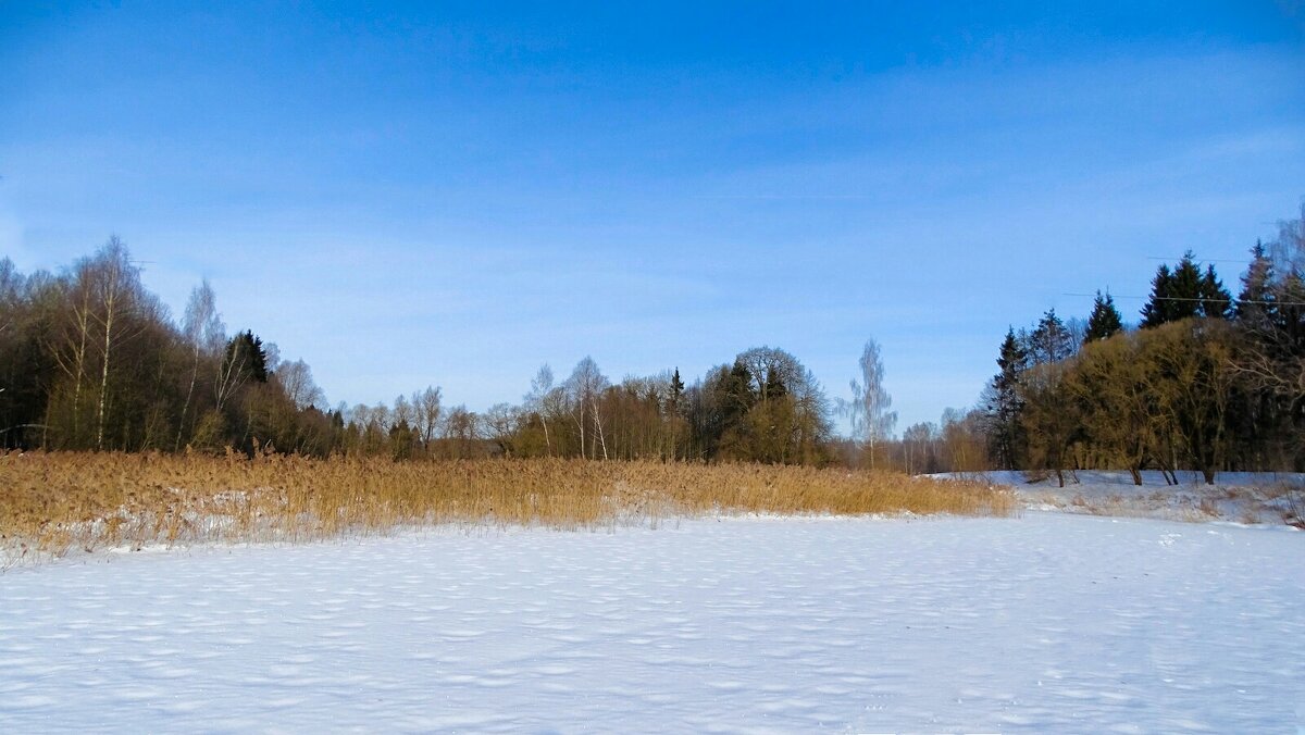 Зимний пейзаж. - Милешкин Владимир Алексеевич Зимний пейзаж. - Милешкин Владимир Алексеевич