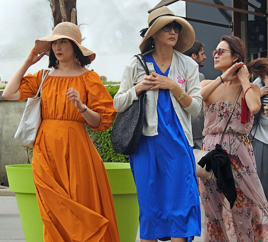 Гости из Китая на иподроме - Valziwa Гости из Китая на иподроме - Valziwa