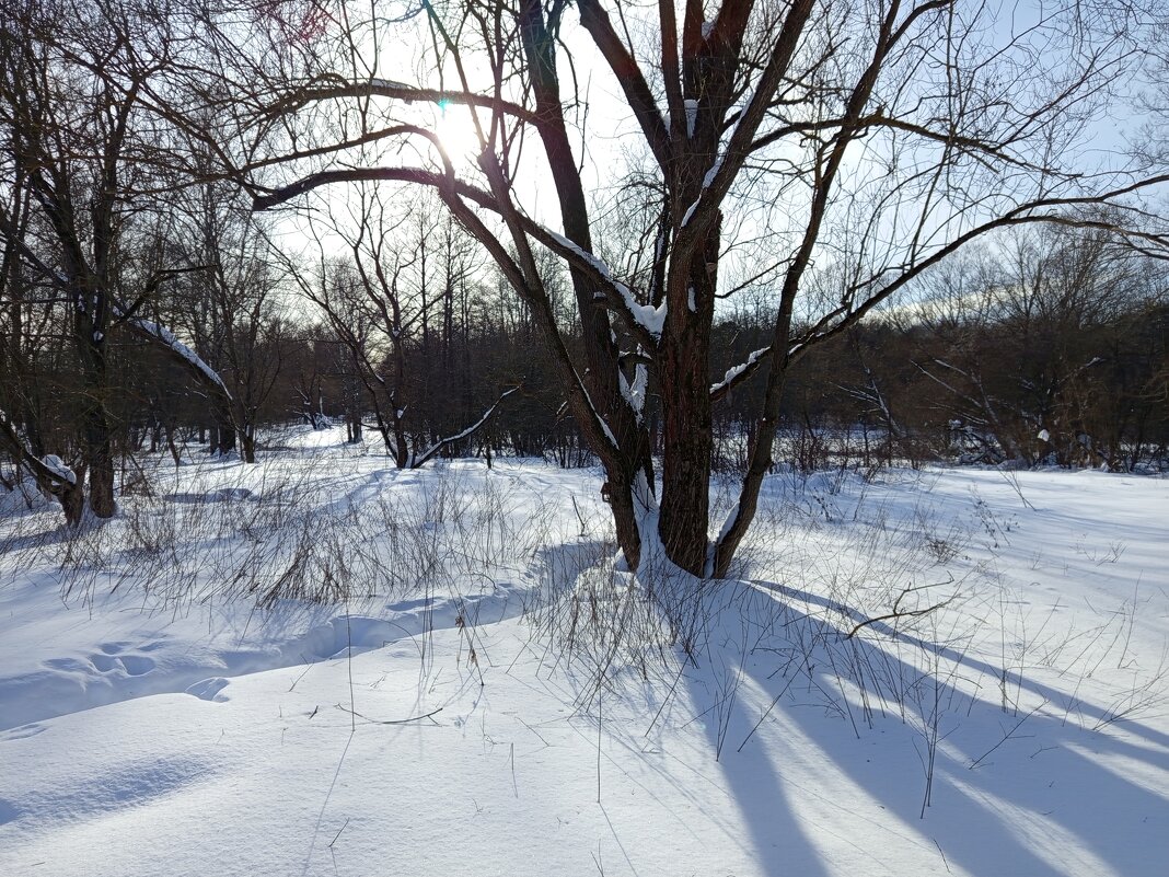 С мыслями уже о весне - Андрей Лукьянов