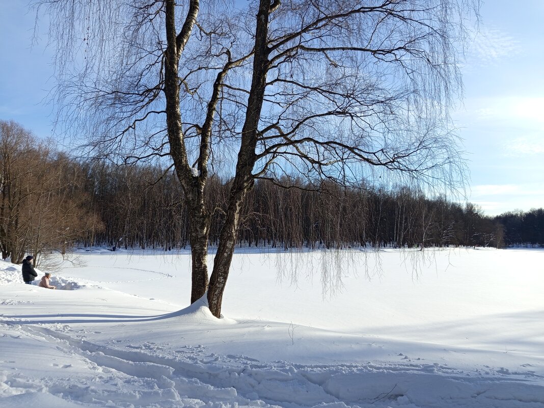 С мыслями уже о весне - Андрей Лукьянов