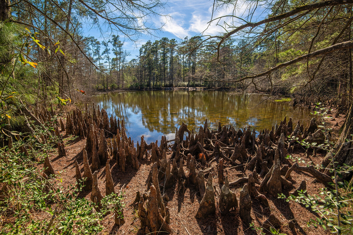 Озерцо - **** vedin Озерцо - **** vedin