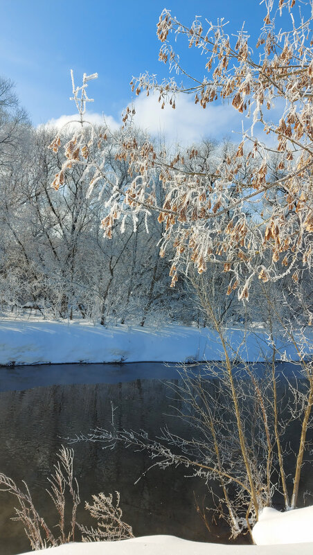 *** - Владимир Безбородов