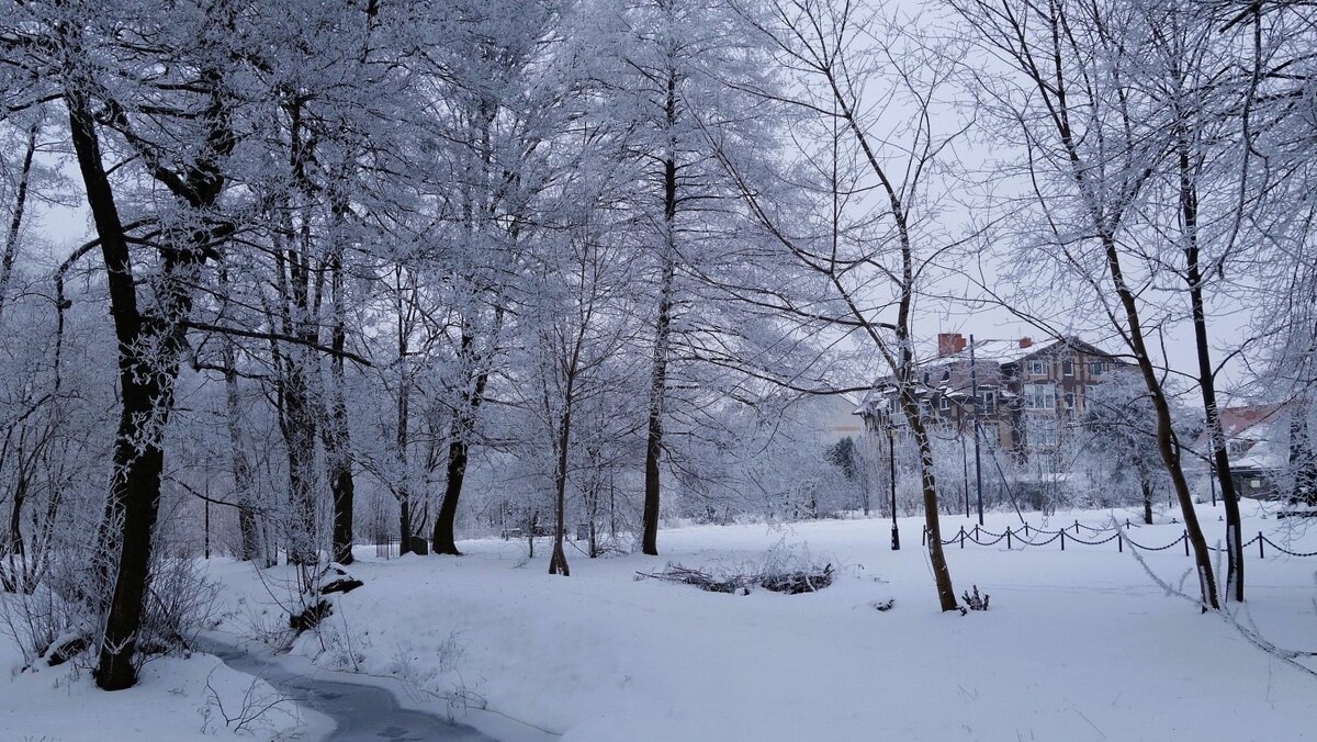 Заснеженный парк - Рита Симонова
