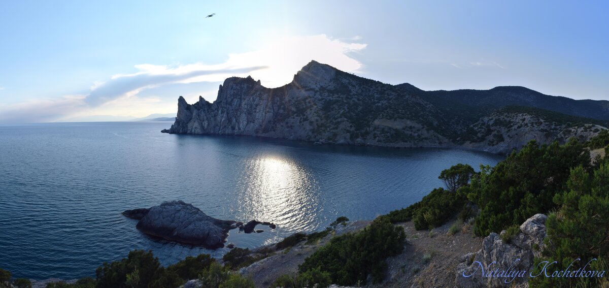 Природа Крыма - Amazing Cosmea