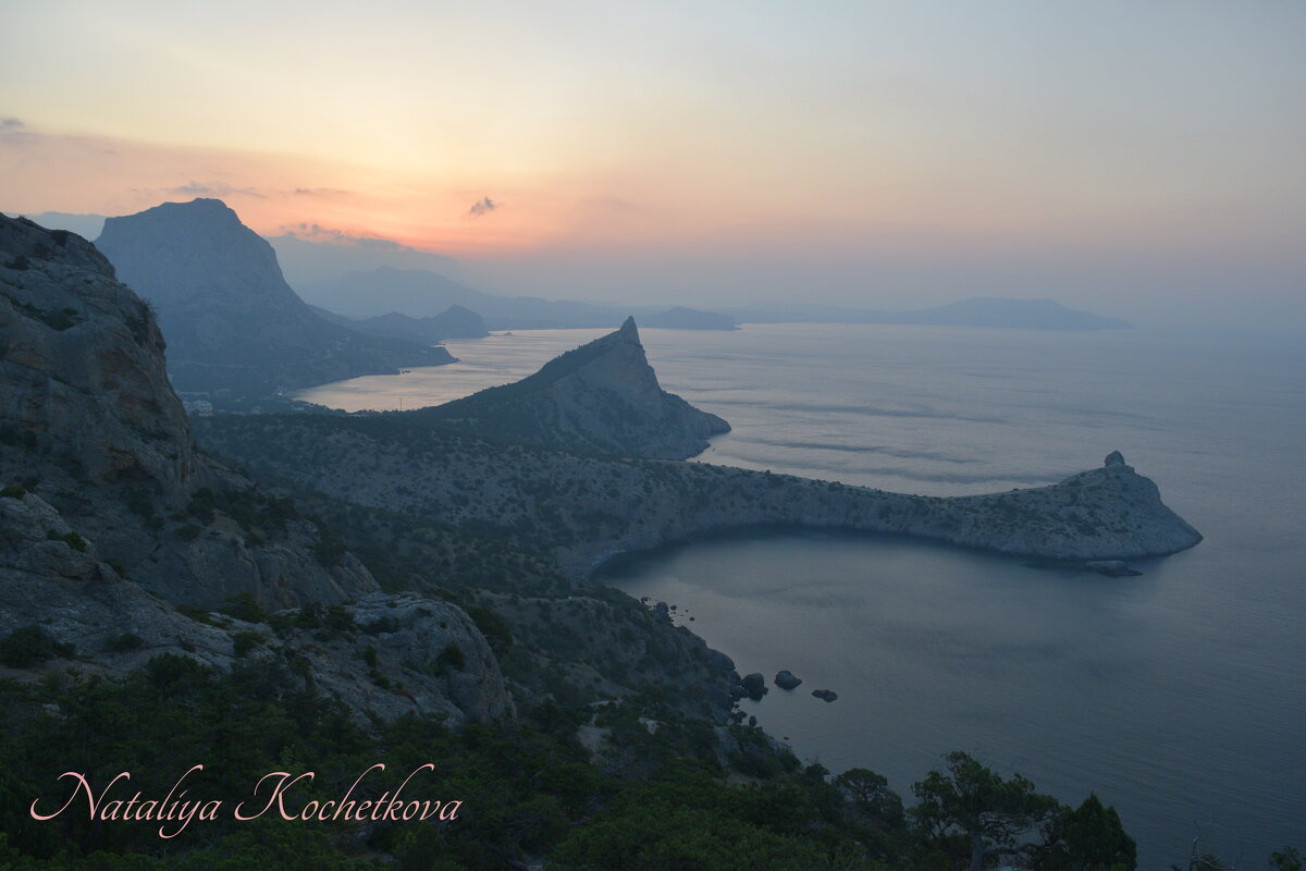 Природа Крыма - Amazing Cosmea