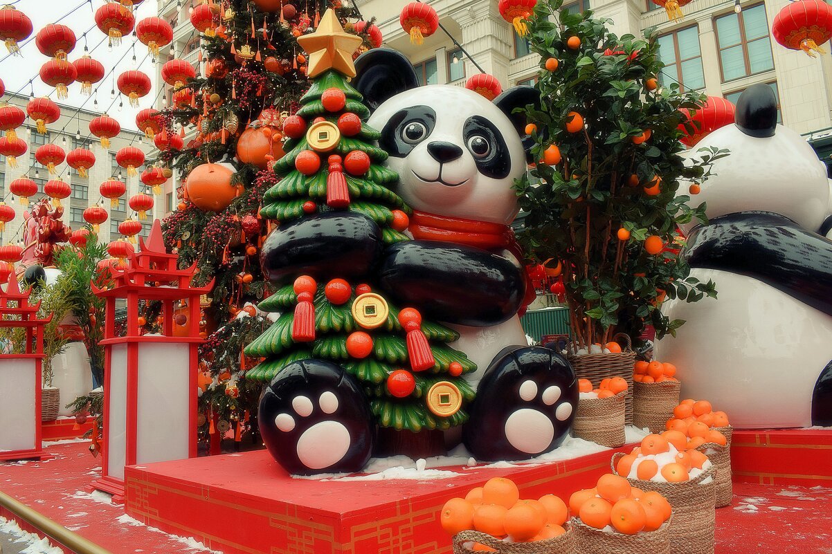 Панда угощает мандаринами. - Татьяна Помогалова Панда угощает мандаринами. - Татьяна Помогалова