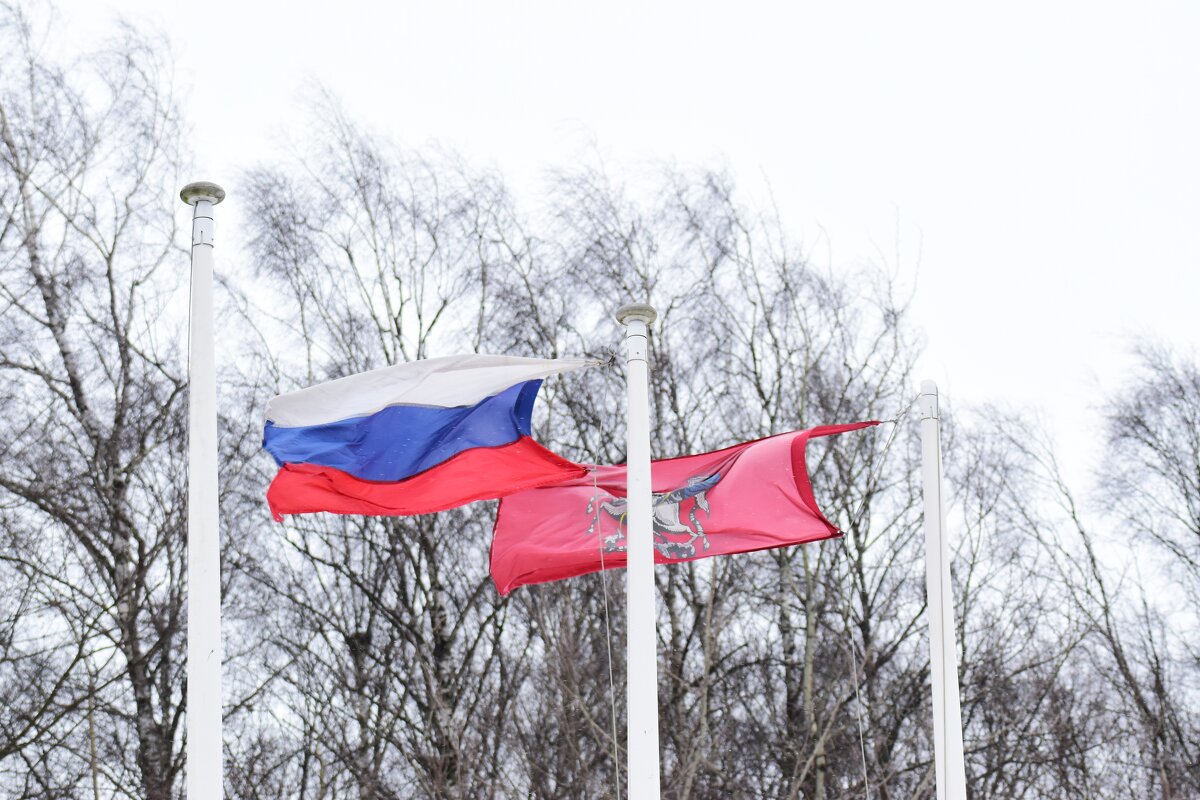 К празднику. - Наталья Вязигина