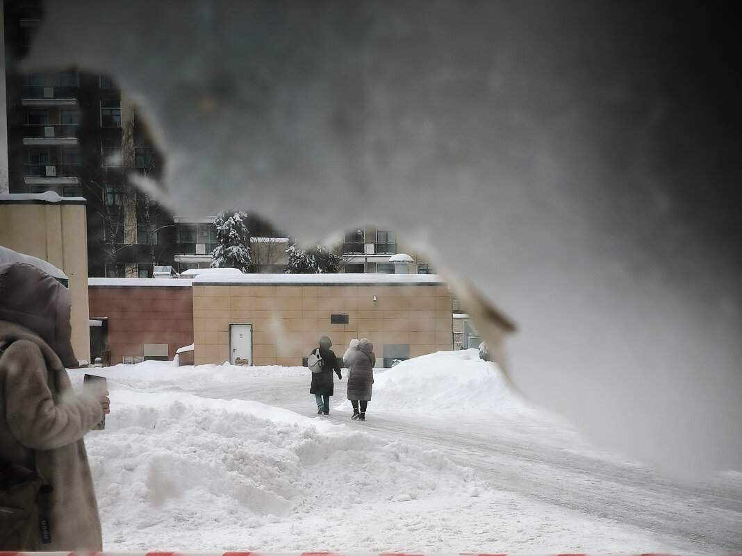 * - Сергей Полянский